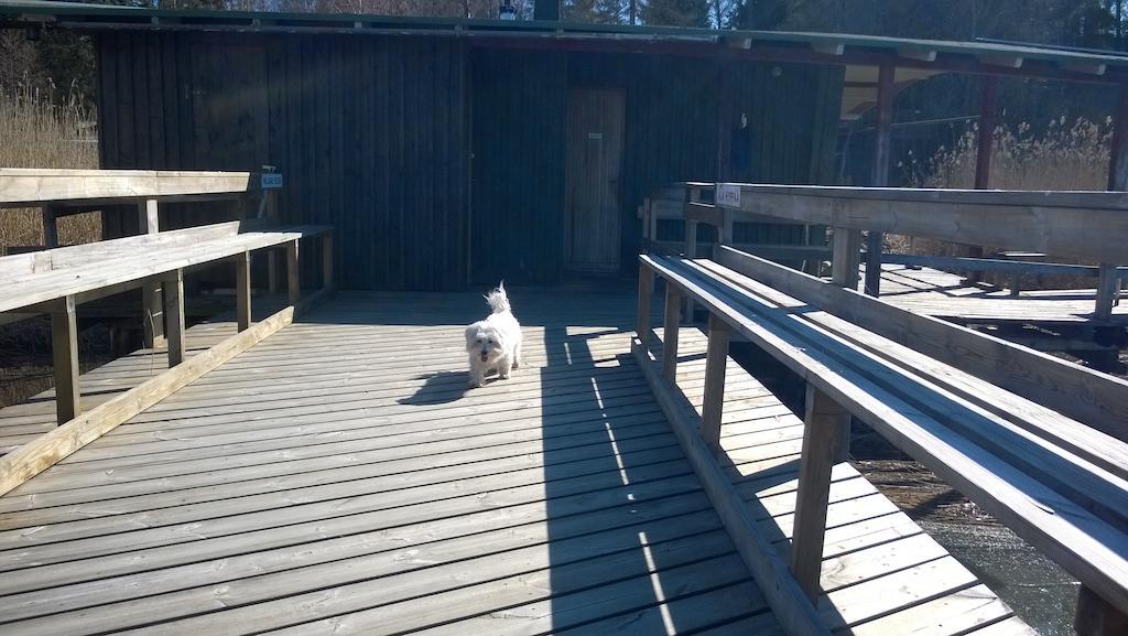 Lomakeskus Koivukankare Hotel Kaarina Kültér fotó